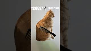 I reached the 32 bit integer limit and then losed 33 bit interesting limit