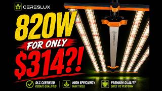 Before You Spend $700 on a Grow Light… Watch This!