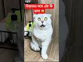 Tool ItemNew Viral Gadget, smart appliances, Kitchen Utensils/Home Inventions #shorts #gadgets