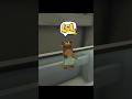 #superbearadventure #superbear