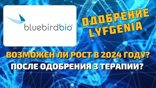 BlueBird bio (BLUE) получила одобрение 3 генной терапии. Возможен ли рост в акций компании в 2024?