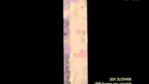 Behaviour of a Pin Ended Reinforced Concrete Stocky Column in Compression
