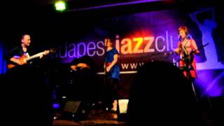 morningdeer - Harcsa Veronika: I can get no (satisfaction) cover