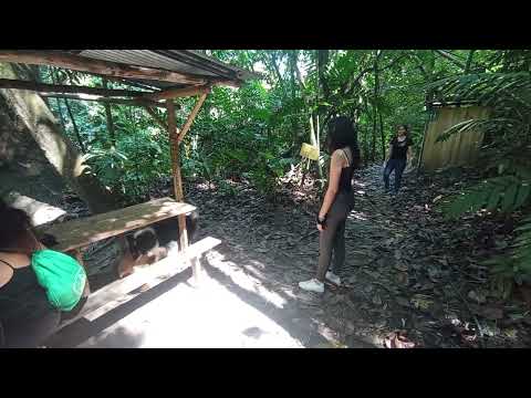2024 01 03 Ciudad perdida falan 4