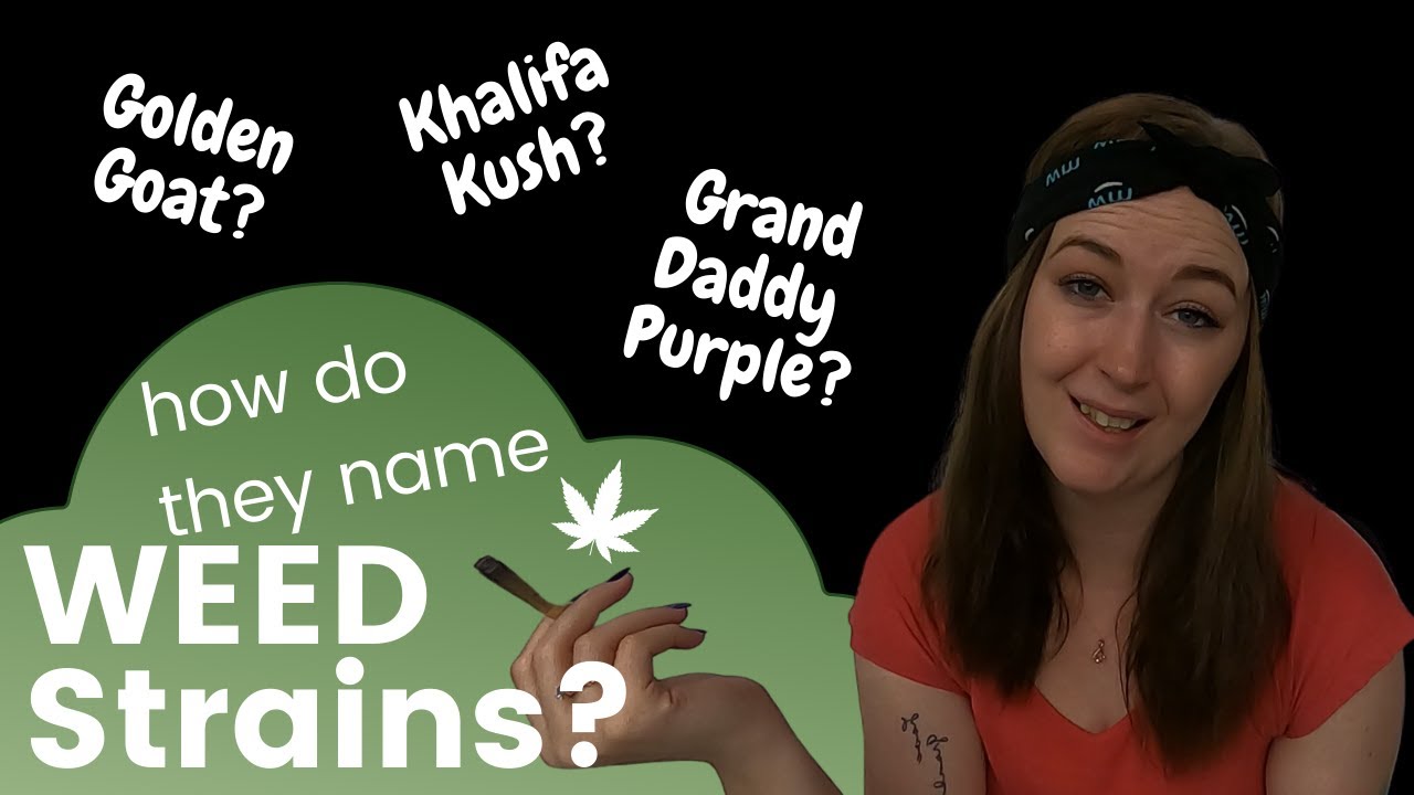 Weed Strain Names? Naming Cannabis Strains * Stoned Marlee *
