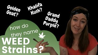 Weed Strain Names? Naming Cannabis Strains * Stoned Marlee *