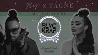 Nej & Tagne - Ma colombe (Slowed and Rever)