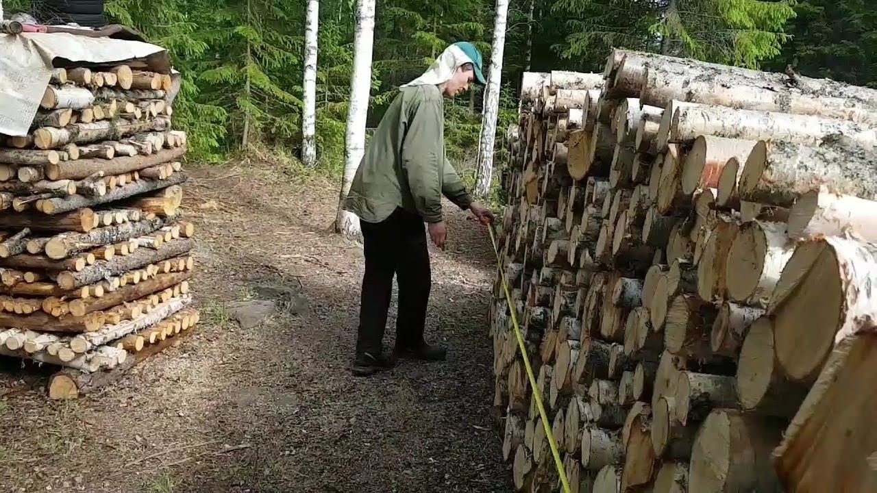 Loput puut tienvarteen MILJARDIN höttiäisen kanssa! Paljonko kertyi kaikkiaan?