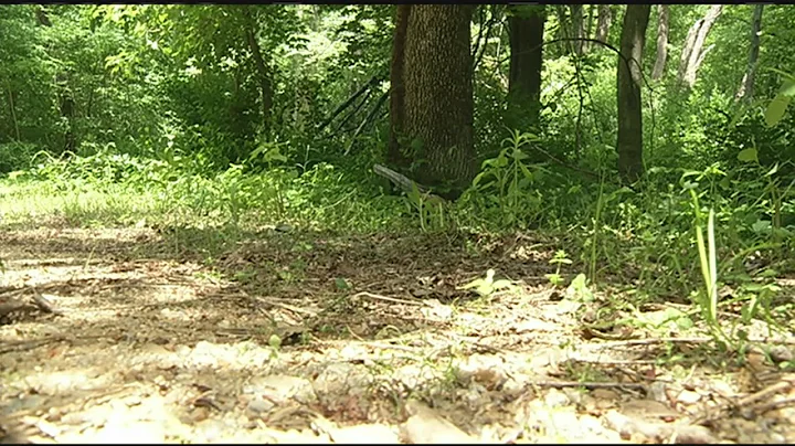 Bish case investigation expected to continue at West Brookfield site