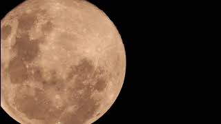 January 3, 2026 | The Wolf Moon Rises 🌕 | First Full Moon of the New Year 