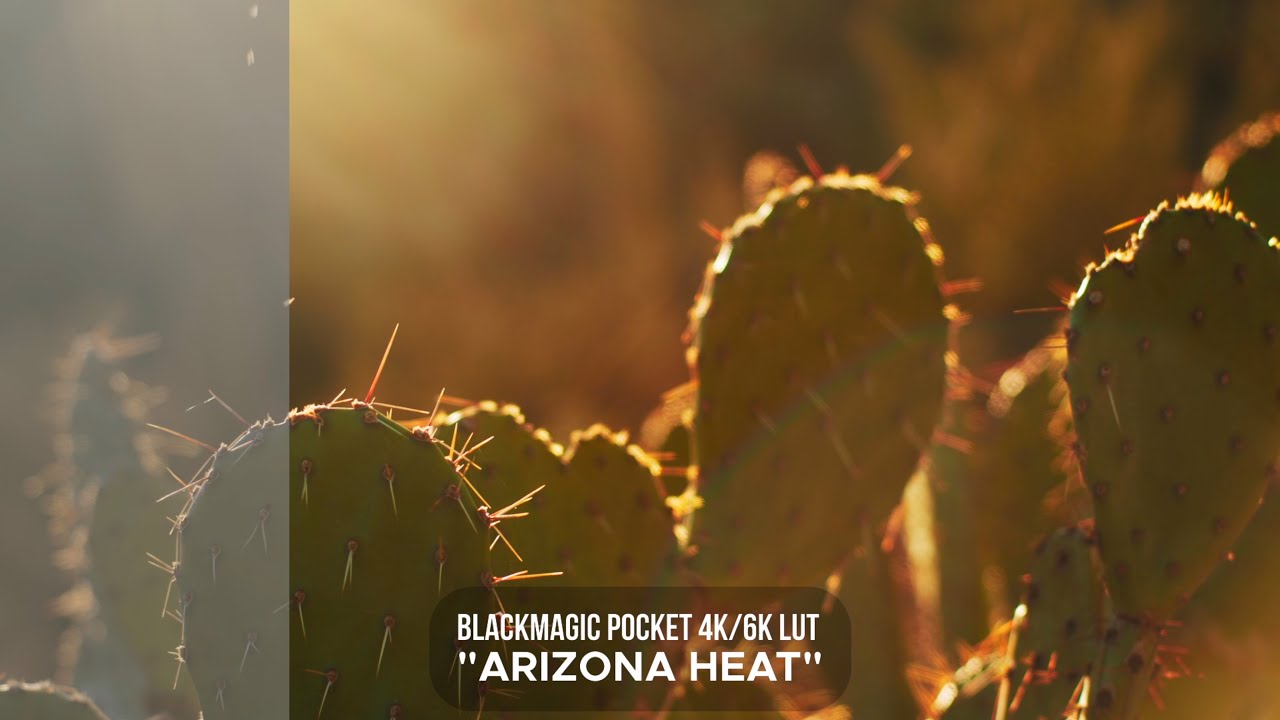 "Arizona Heat" free custom BPMCC LUT example video