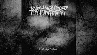 Anthropologist - Colours