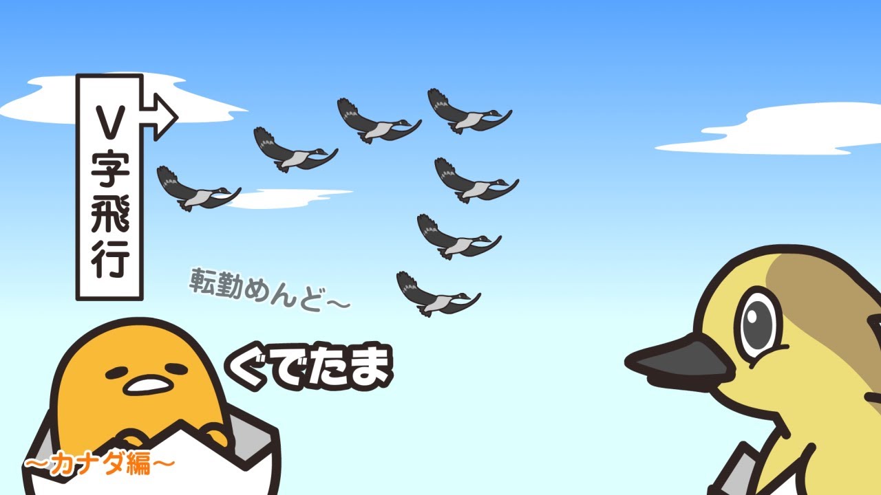 ぐでたまアニメ 第1547話 公式配信 - YouTube