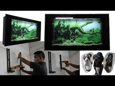 Video: How To Choose A Wall Mounted Aquarium