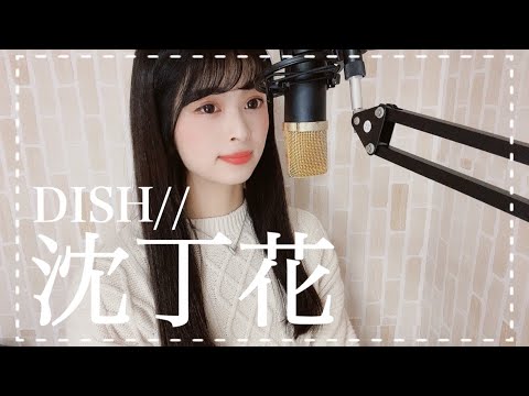 沈丁花 / DISH//  covered by rinna