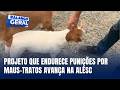 Projeto amplia punições para crimes contra animais em Santa Catarina