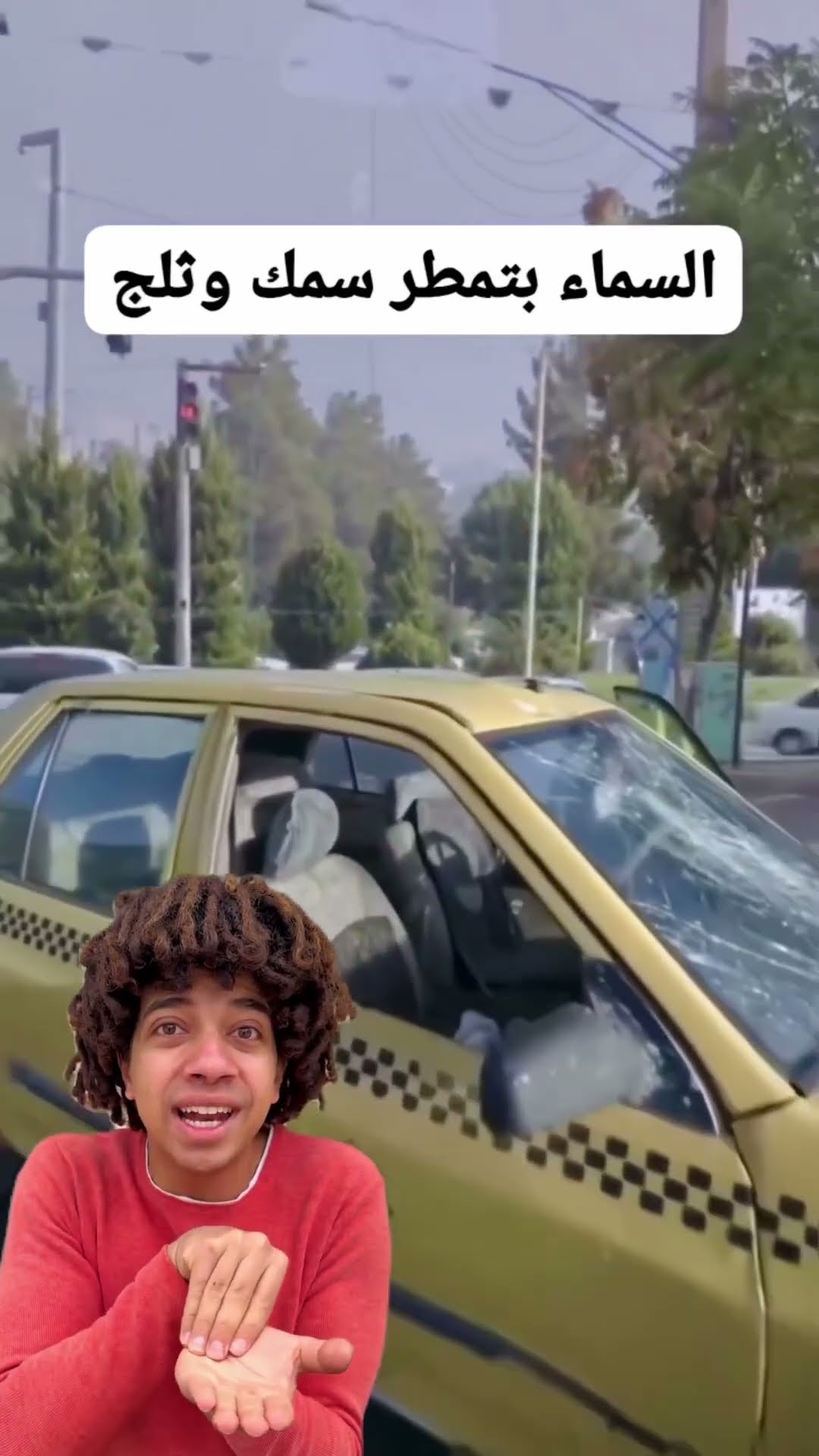 الدنيا بتشتى سمك ?