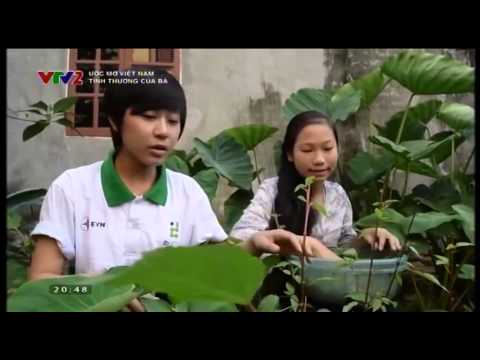 Video Tấm gương học sinh nghèo vượt khó - youtube