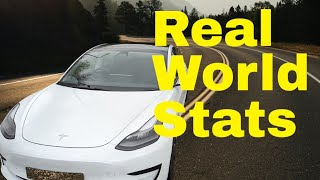 Tesla Model 3 Taxi - August Performance Stats: Efficiency & Savings. Real World Performance
