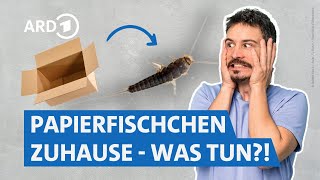Thumbnail for Papierfischchen loswerden: So gelingt die Bekämpfung (mit Expertentipps) | Servicezeit WDR