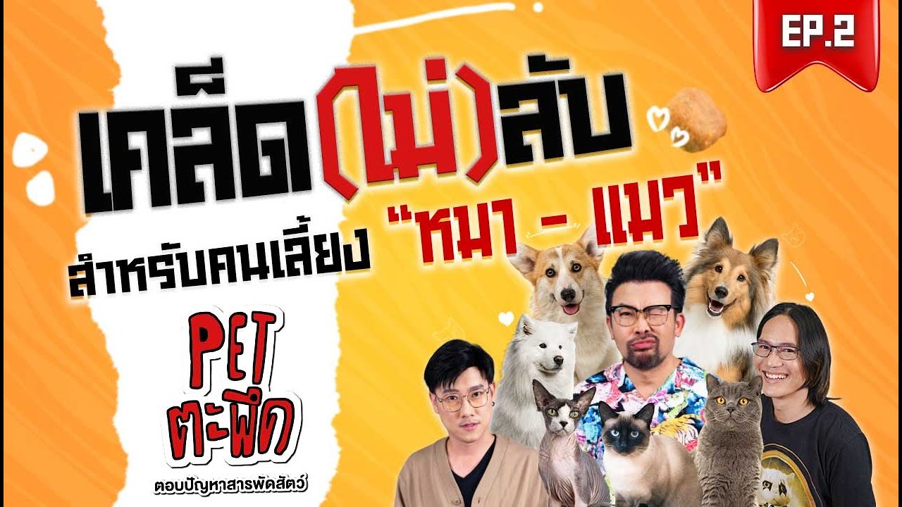 [LIVE] “Pet ตะพึด” ตอบปัญหาพี่หมาและน้องแมว หมอเนย์+หมอเบน+หมาเน็ก  !!! EP.2 (28/07/23)