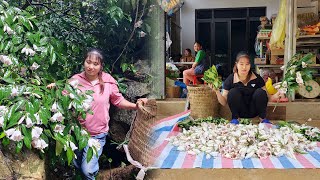 Harvest wild Flowers and Vegetables Goes to market sell  Build life in farm  Pham Tâm