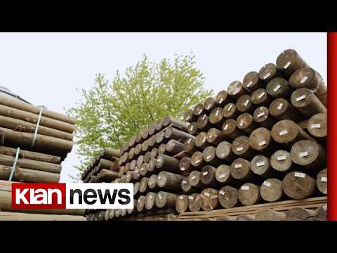 Klan News- Inovacioni që i jep drurit elasticitet