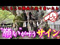 【⚠️強制開運】※見たら1分以内に再生して下さい⚠️もし逃したら二度とありません※見たあと良いことが起こります。本当に不思議です🌈✨⛩️愛媛県大山祇神社【遠隔参拝】【リモート参拝】