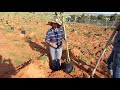 طريقة زراعة الأفوكادو |منطقة علال البحراوي المغرب planting avocado