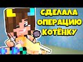 ФЛАСКА СДЕЛАЛА ОПЕРАЦИЮ КОТУ ОЦЕЛОТУ В МАЙНКРАФТ !