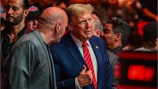 WATCH: Donald Trump met with a thunderous applause at UFC 299