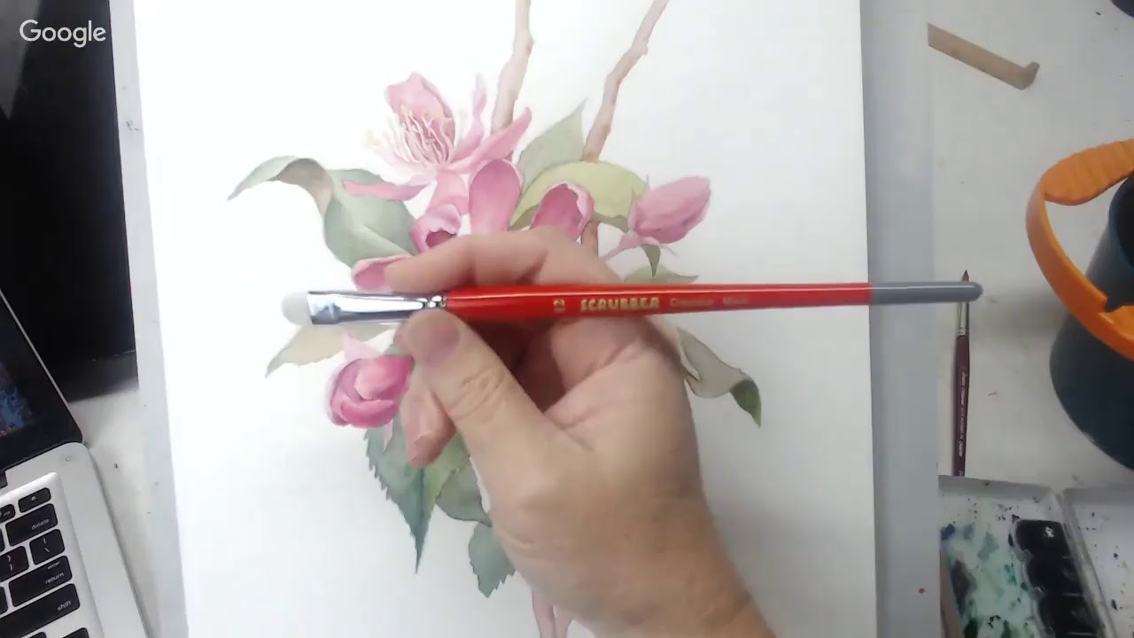 Painting a Floral Botanical – Recorded Live - YouTube