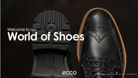 ECCO Case Study: A Non-Linear S&OP Journey