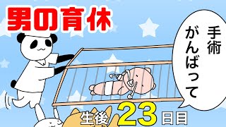 【男性の育休】娘の手術当日の話【育児漫画】生後23日目・入院3日目