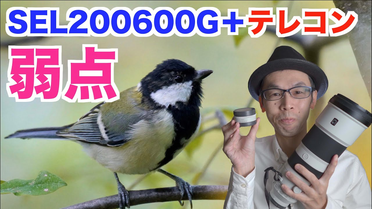 Wild Bird Photography / SEL200600G and SEL14TC] Disadvantages of