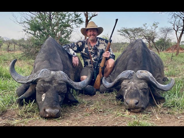 UGANDA Nile Buffalo (hunt) Safari 2020 Worldwide Trophy Adventures  PART 1 class=