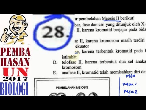 un-sma-2017-biologi-pembahasan-no-28,-pembelahan-meiosis