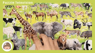 動物 おもちゃ いきものだいしゅうごう 子供向けパズル 63ピースをやってみた！ Animals toy puzzle