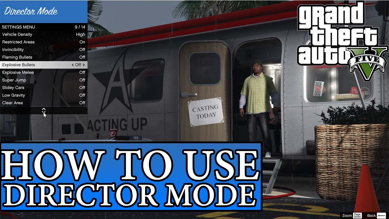 gta 5 cheats ps4 director mode