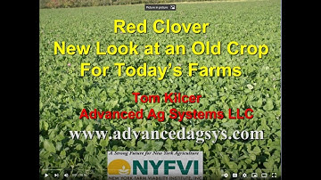 Red Clover Harvest to Maximize Feed Quality