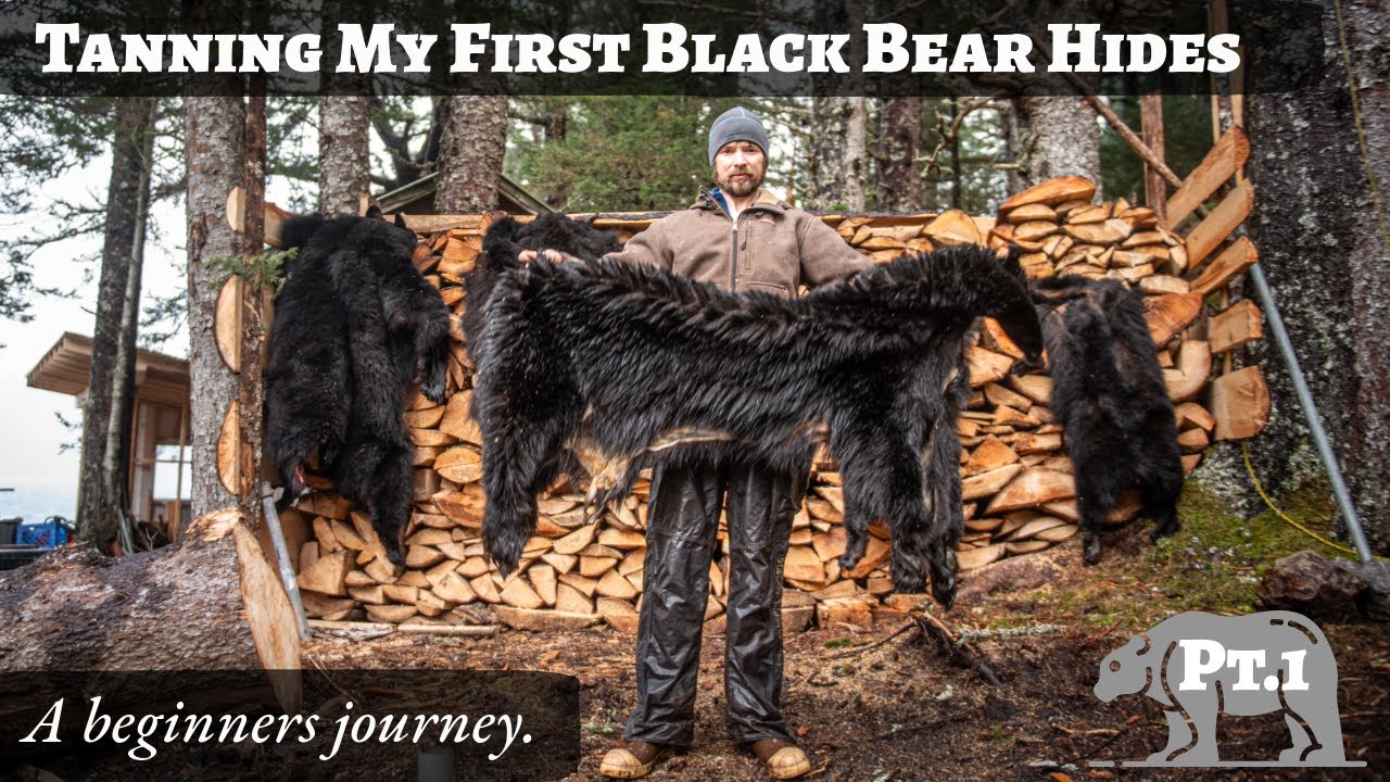 Tanning My First Black Bear Hide – A Total Beginner's Journey! - YouTube