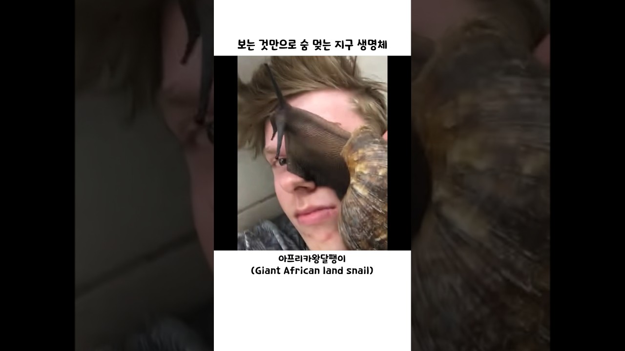 보는 것만으로 숨 멎는 지구 생명체
