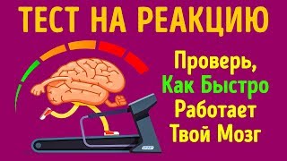 Тест на Скорость Реакции, Или Как Быстро Работает Ваш Мозг