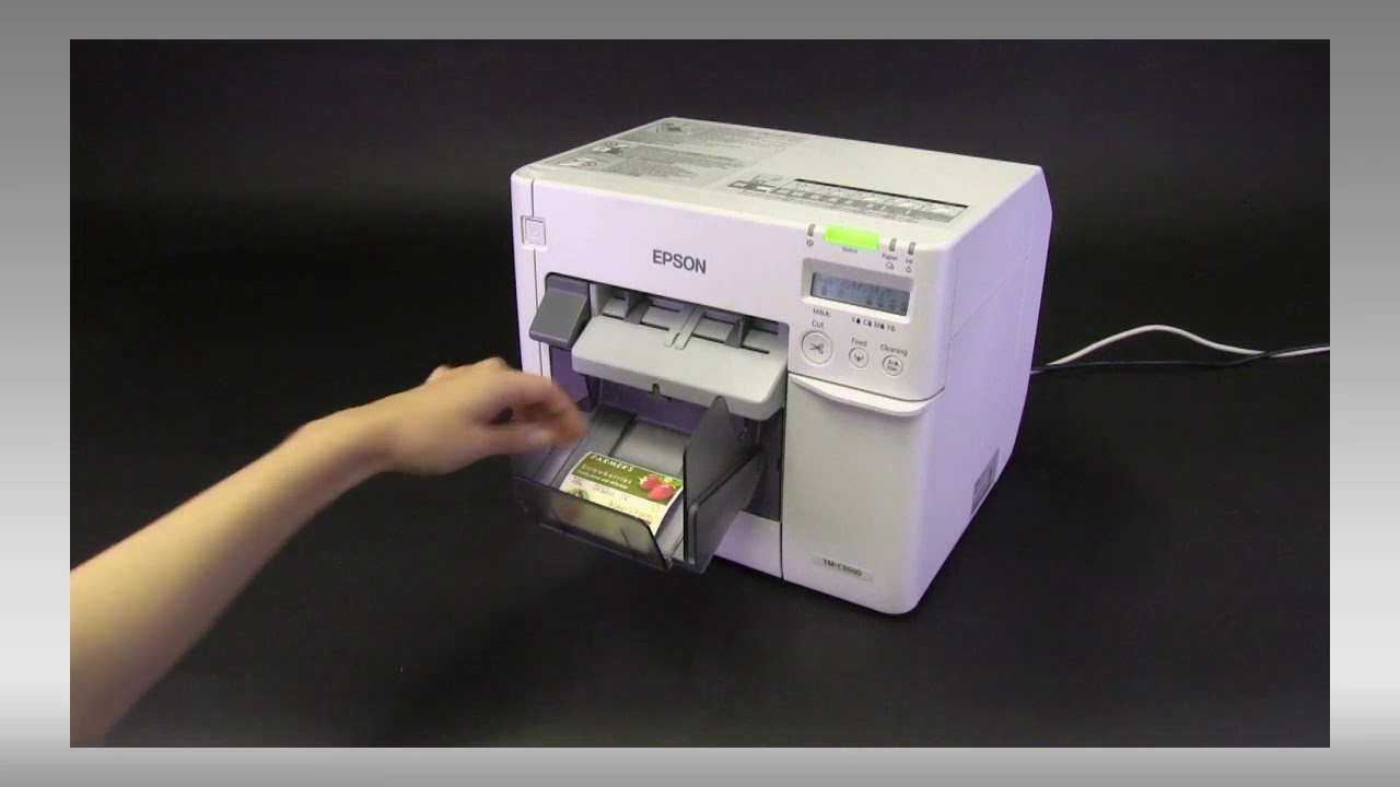 Epson ColorWorks C3500 Borderless Printing Setup and Adjustments - YouTube