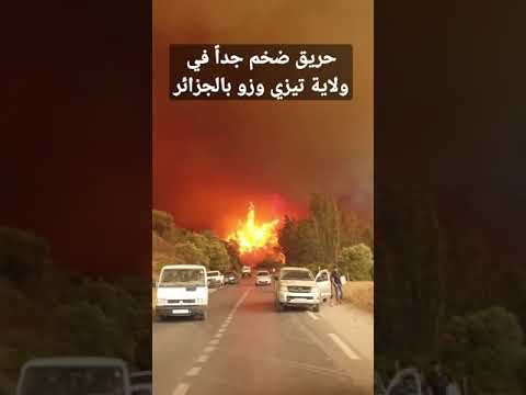 في هذه اللحظات حريق هائل جدا في ولاية تيزي وزو بالجزائر 