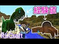 死なずにレベルを上げる方法がわかりました👀❗ #5【マイクラMOD実況 / RLクラフト】
