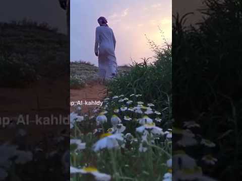 شيله ان جيت يمك 