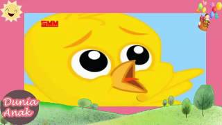 Tek Kotek Kotek - Kartun Anak