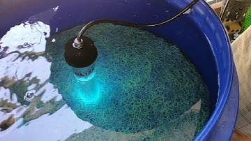 VISIT THE SMALL KOI WITH A FILTER || THAM QUAN HỒ KOI NHỎ CÓ BỘ LỌC KHỦNG|CÁ KOI VLOG TRẦN ĐỨC CƯỜNG