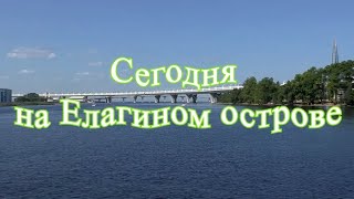 Сегодня На Елагином Острове: Утки, Истребители И Окуни